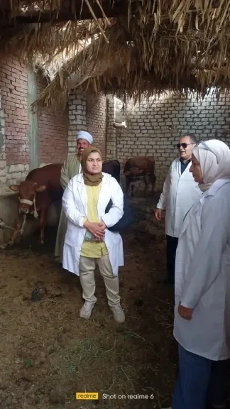 التطعيم ضد الحمي القلاعيه 