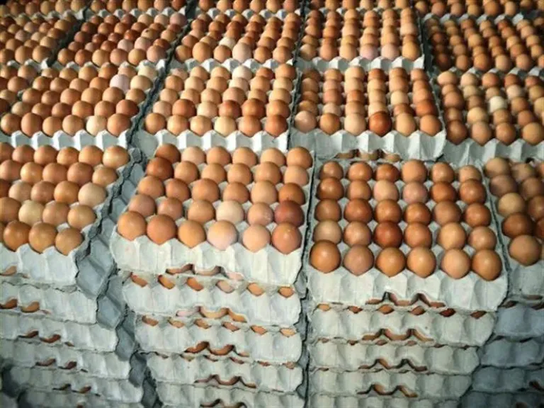 بيص