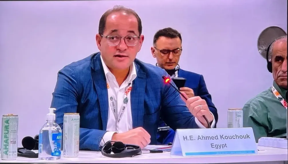 وزير المالية 