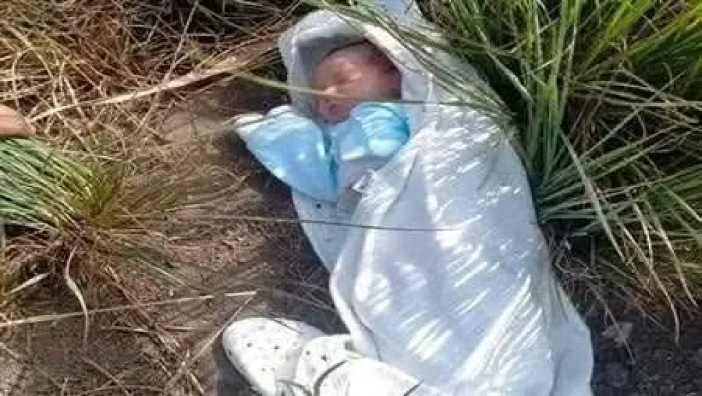  رضيع حديث الولادة 
