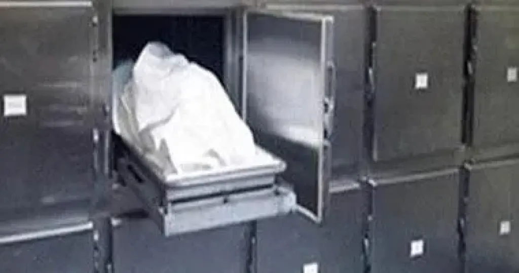 صورة ارشفية