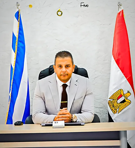 رضا عكاشة، مساعد أمين العاملين بالخارج بحزب "مصر المستقبل"