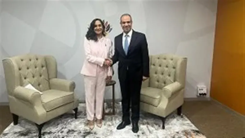 بدر عبد العاطي