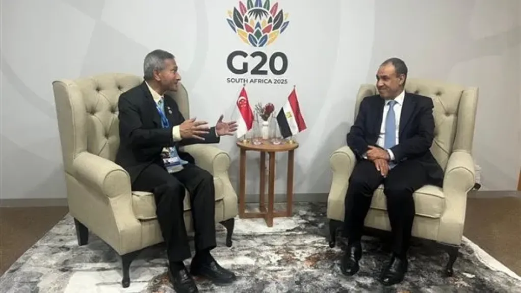 بدر عبد العاطي