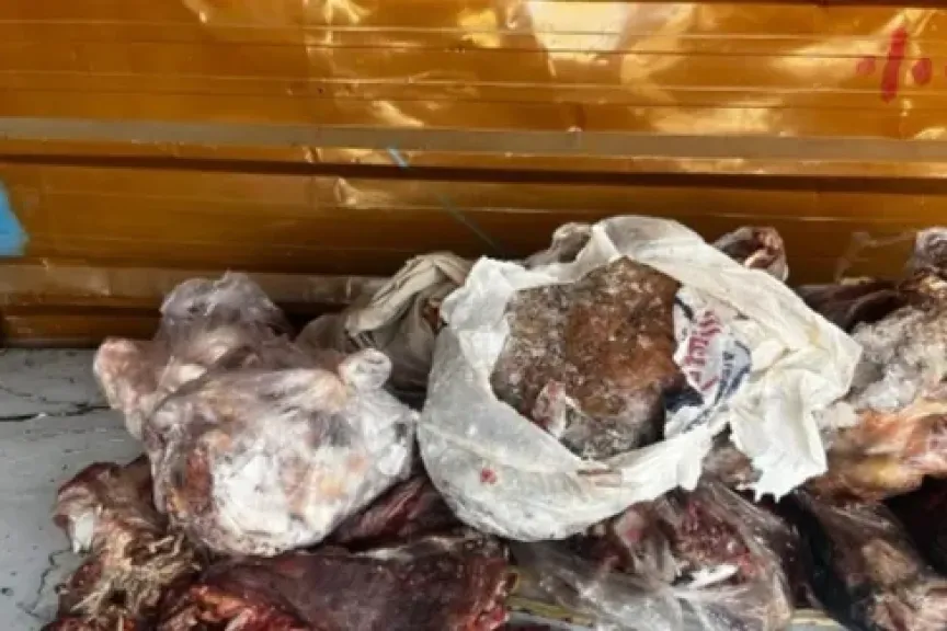  حملات رقابية بالأقصر
