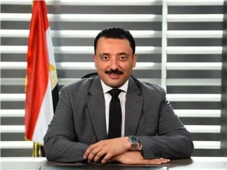 النائب محمد رزق، عضو مجلس الشيوخ