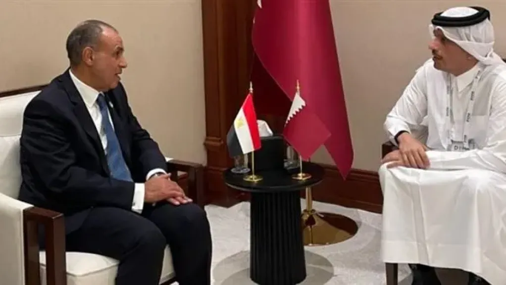وزير الخارجيه ونظير القطري
