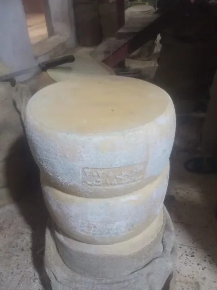 جانب من المتابعة 