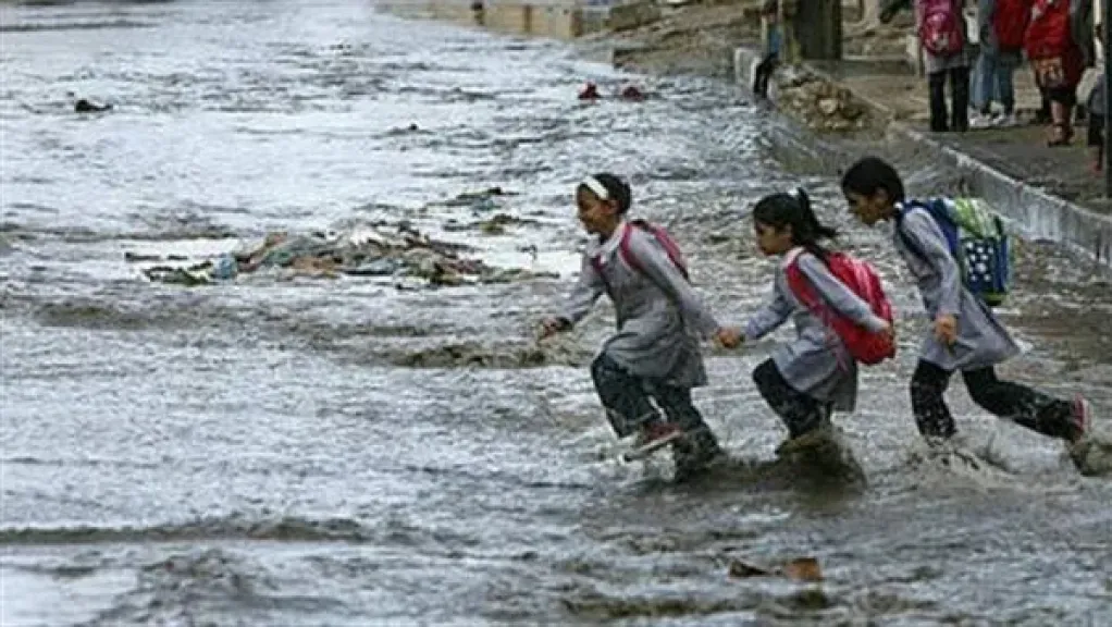 صوره ارشيفيه