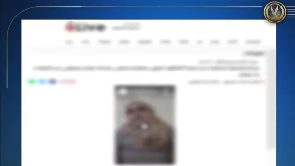 ربة المنزل 