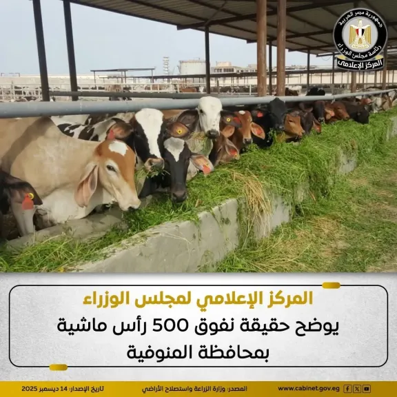 حقيقة نفوق 500 رأس ماشية بالمنوفية