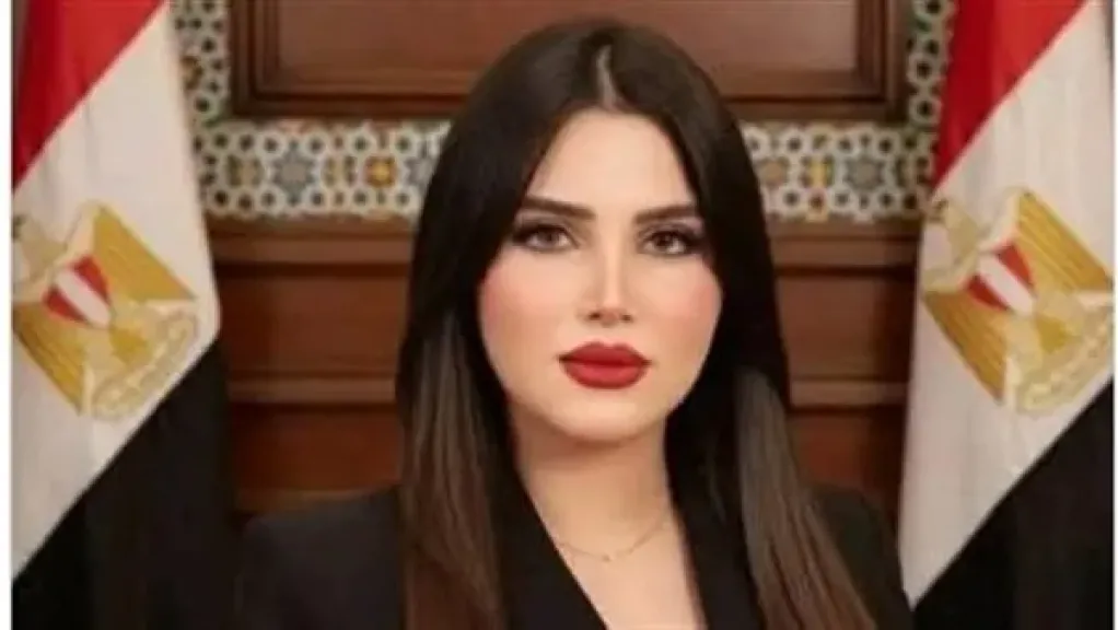  النائبة ريهام أبو الحسن، عضو مجلس النواب