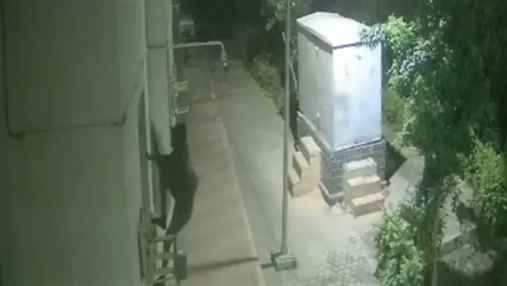 المتهم
