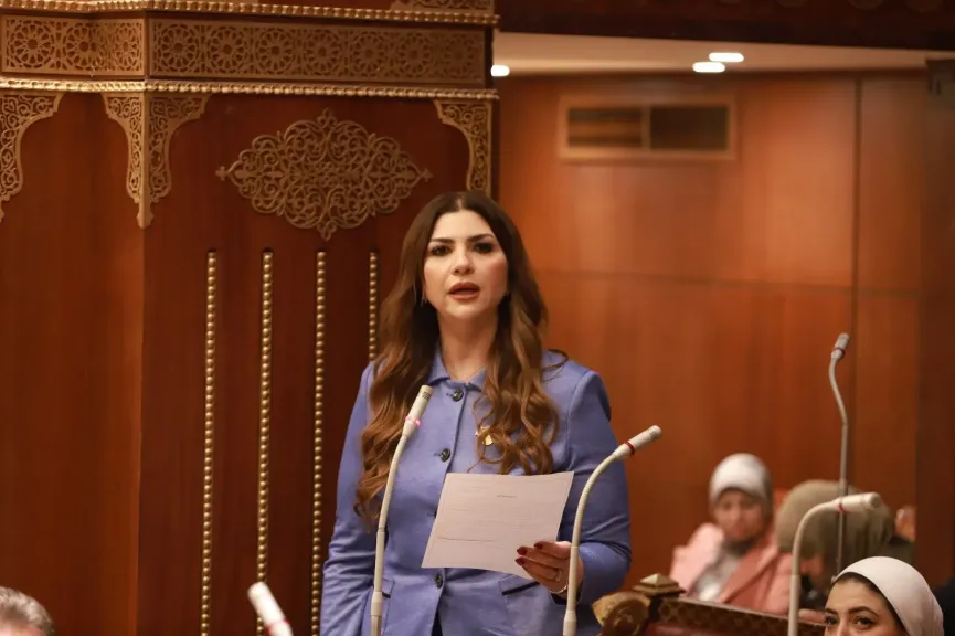 الدكتورة غادة البدوي، أمين سر لجنة التعليم بمجلس الشيوخ