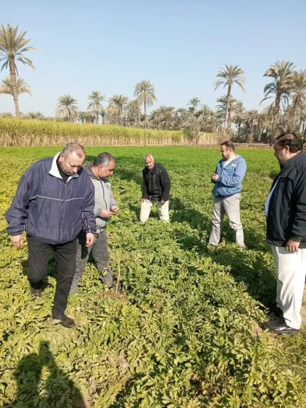 جانب من المتابعة 