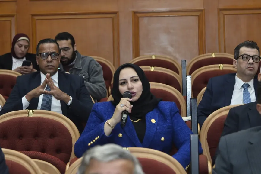 النائبة شيرين صبري