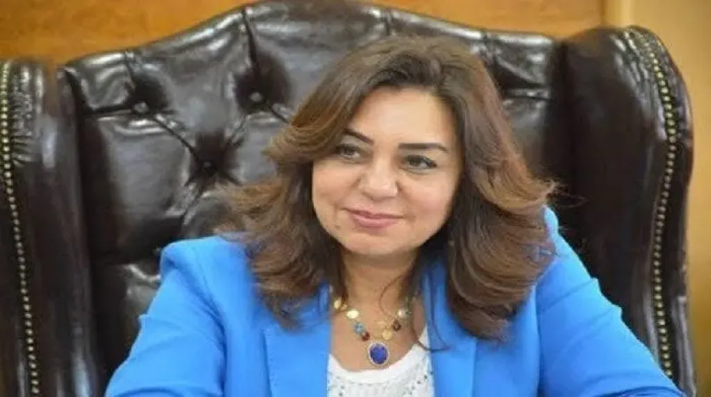 وزارة التنمية المحلية،