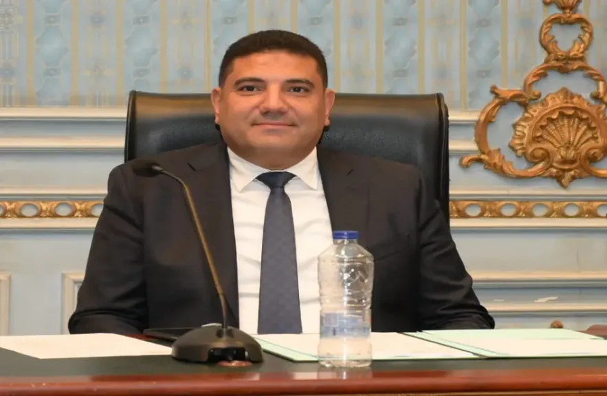 النائب الدكتور أحمد عبد المجيد 