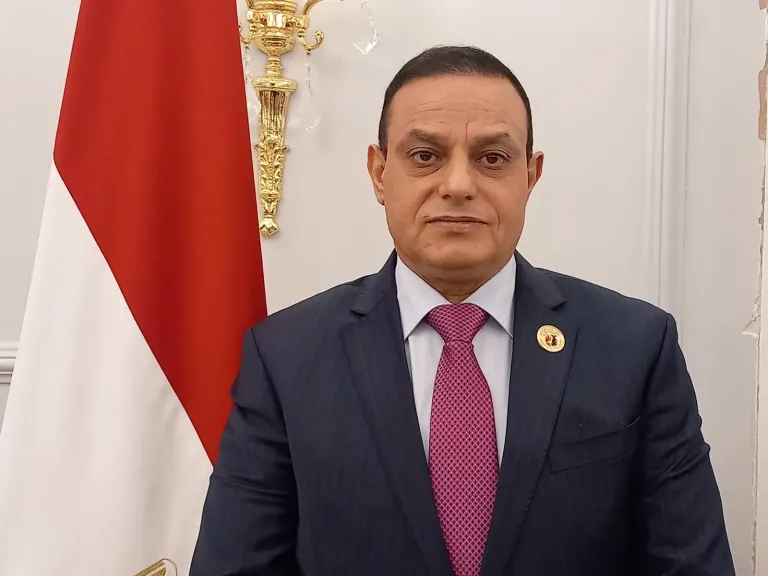 النائب مختار همام مرسي