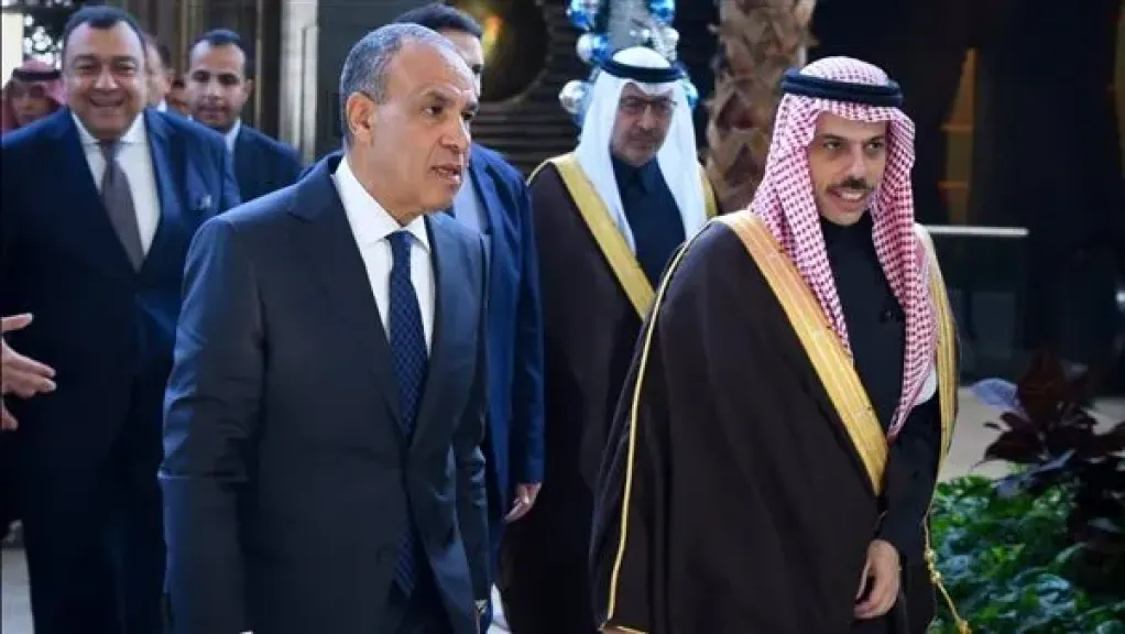 بدر عبد العاطي