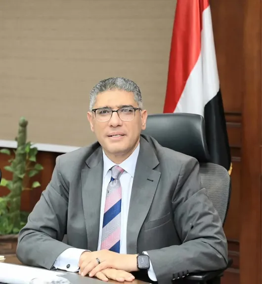 المهندس عادل النجار محافظ الجيزة