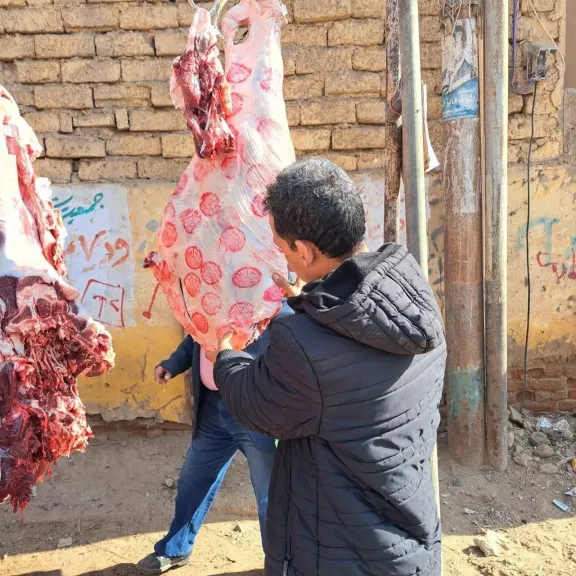   تكثيف الحملات لحماية صحة المواطنيين 