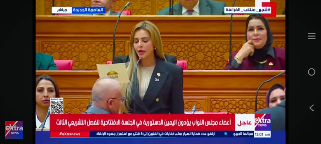 النائبة مروة بوريص، عضو مجلس النواب