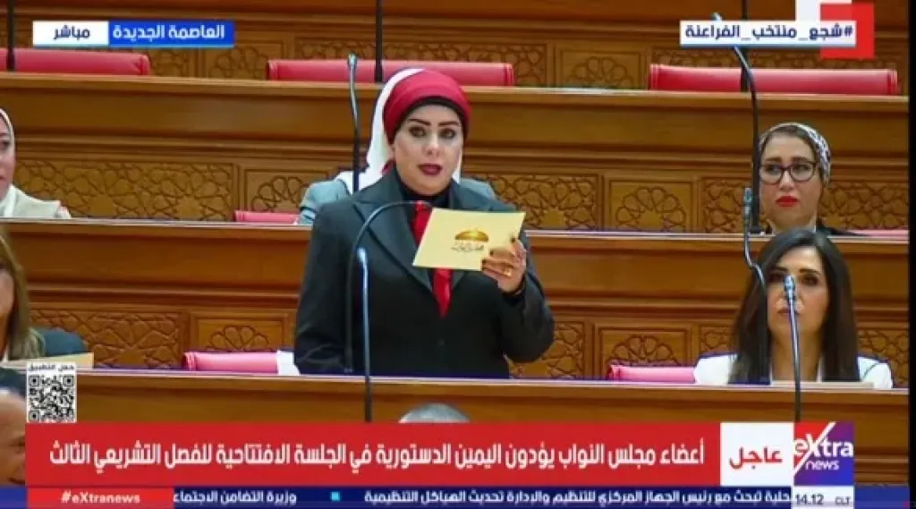 النائبة الدكتورة جيهان شاهين