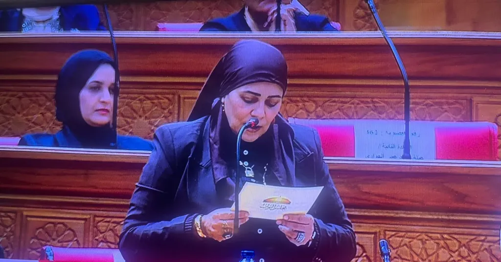 النائبة أميرة زيدان