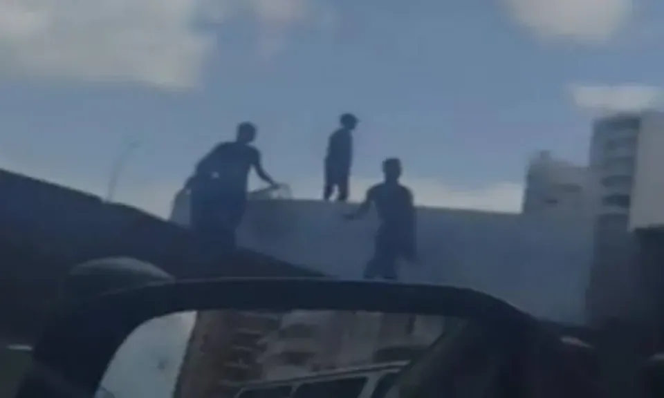 جانب من الصور 