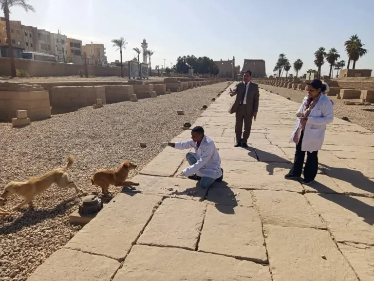 جانب من الحملات 