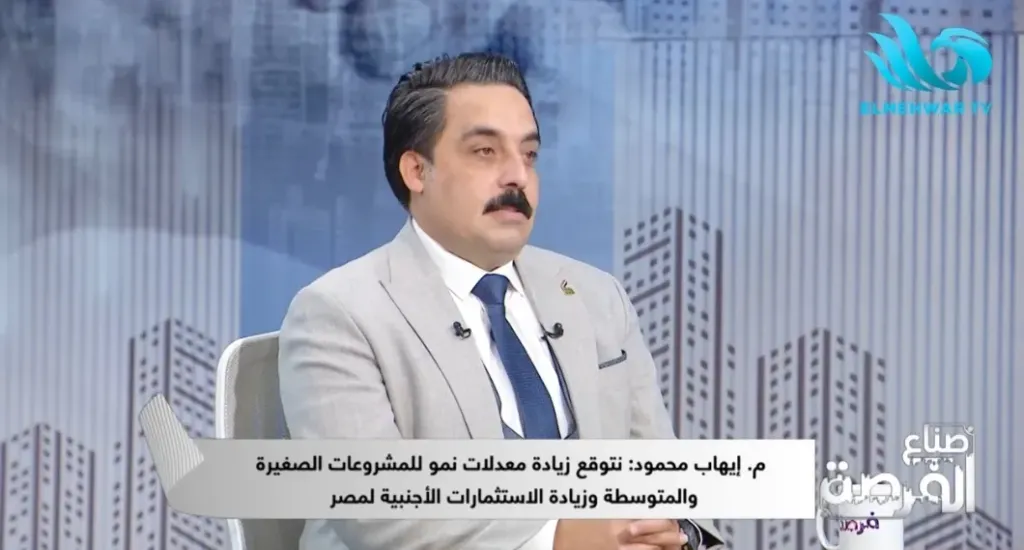 المهندس إيهاب محمود الخبير الاقتصادي 