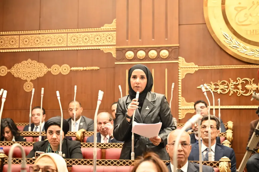 النائبة ولاء هرماس