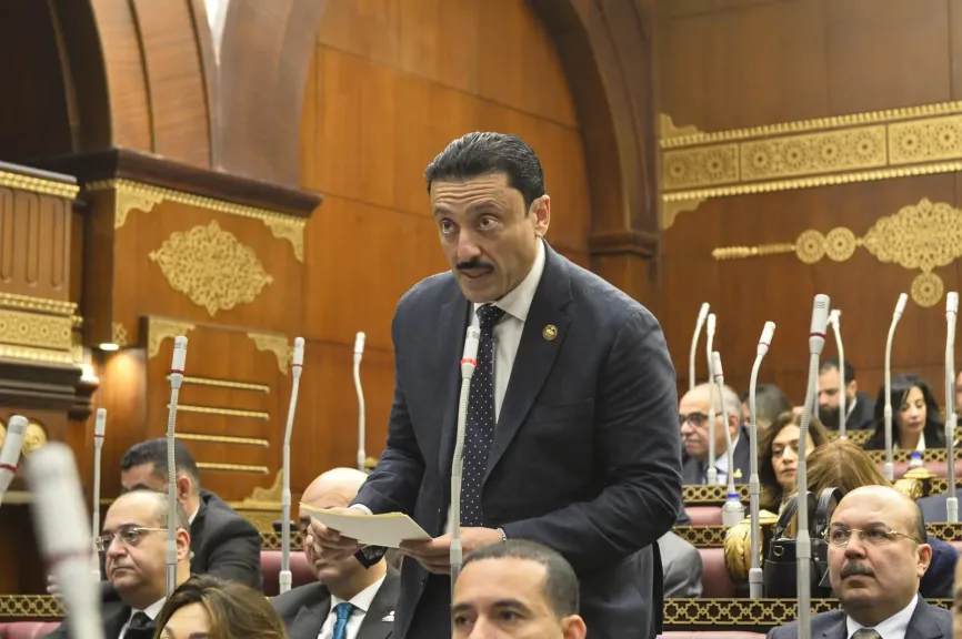 النائب الدكتور محمد رزق
