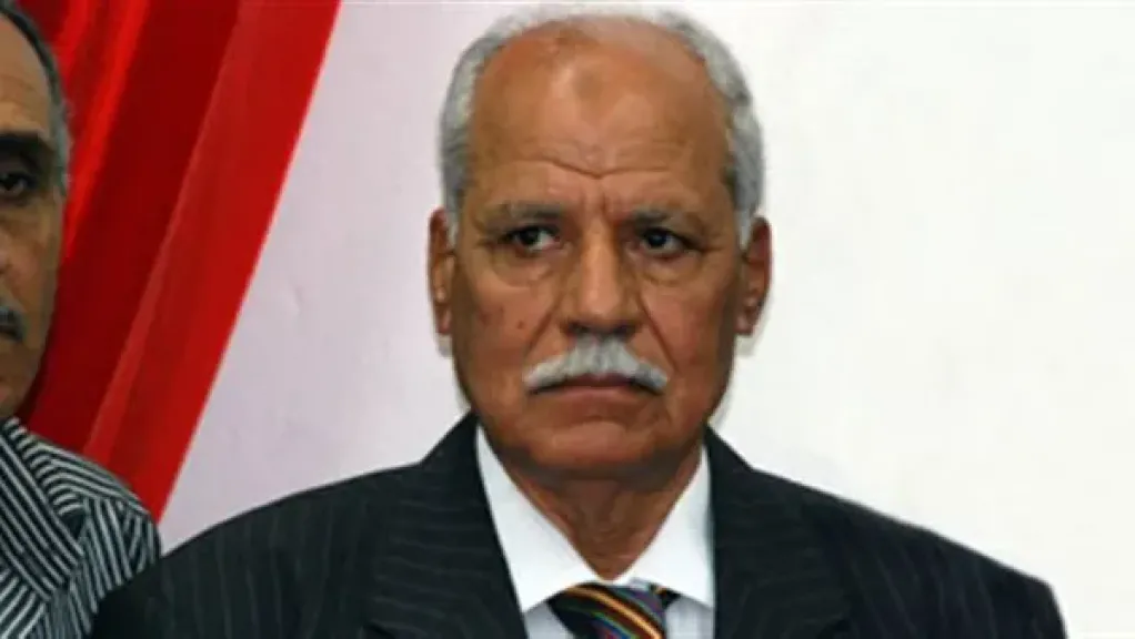 النائب محمد أبو العلا