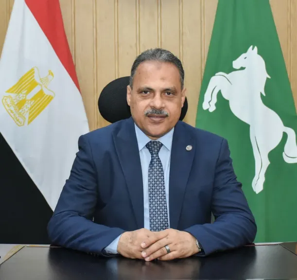 محافظ الشرقية 