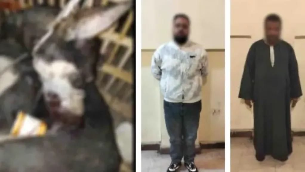المتهمين 