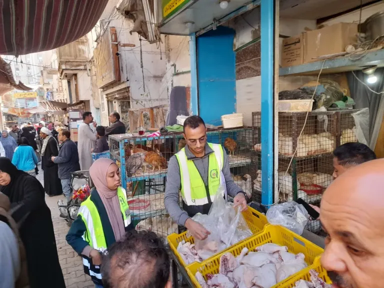 حمالات رقابية مكبرة بشوارع مدينة قنا