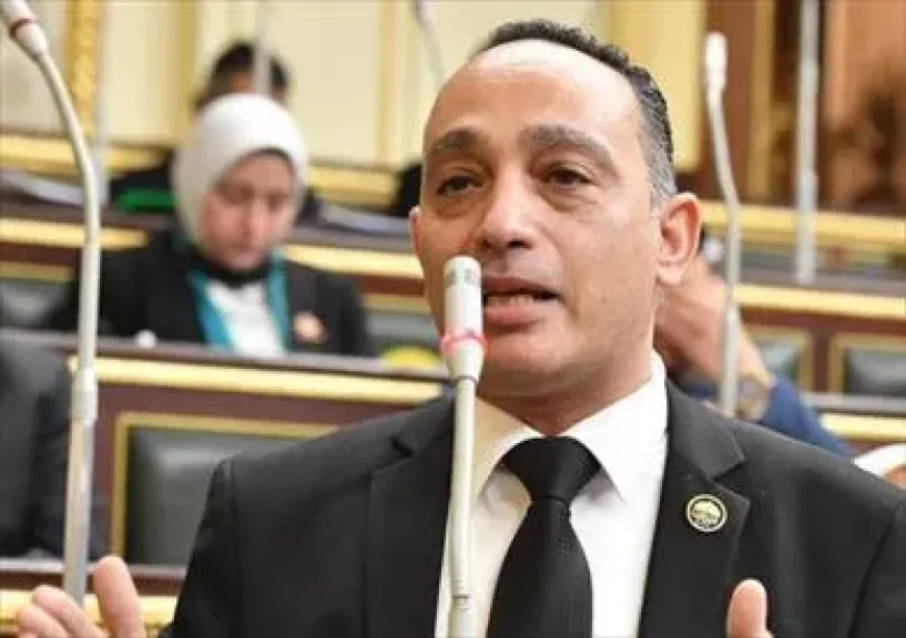 الدكتور فريدي البياضي، عضو مجلس النواب