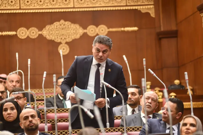 النائب المستشار مجدي البري