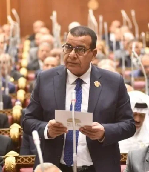 النائب محمود مرجان عضو مجلس الشيوح