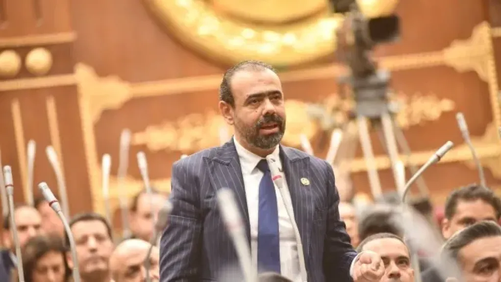 النائب نور الدين مصطفى، عضو مجلس الشيوخ