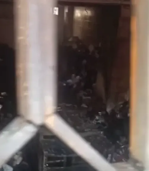 حانب من الصور 