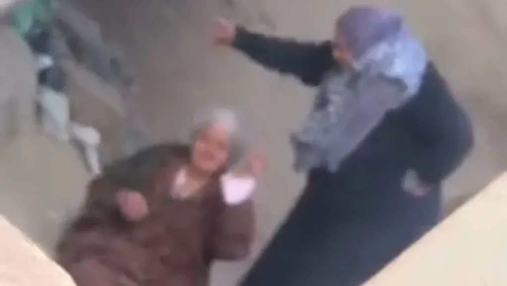 جانب من الصور 