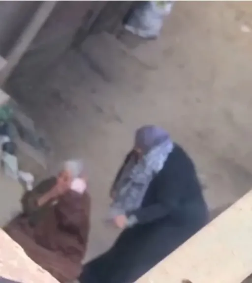 التعدى على مسنة بالشرقية 