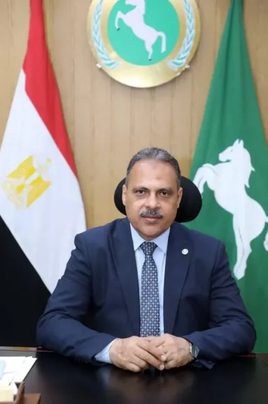 حين يتدخل الإنسان.. محافظ الشرقية ينقذ سيدة مُسنة