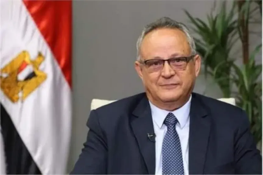 الدكتور أحمد زايد، عالم الاجتماع السياسي ومدير مكتبة الإسكندرية