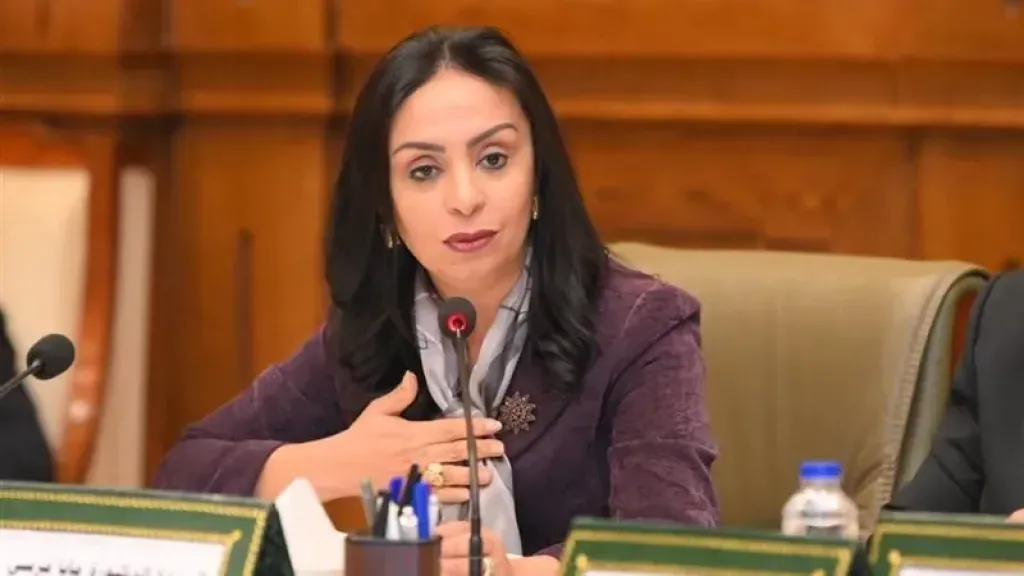 وزيرة التضامن الاجتماعي 