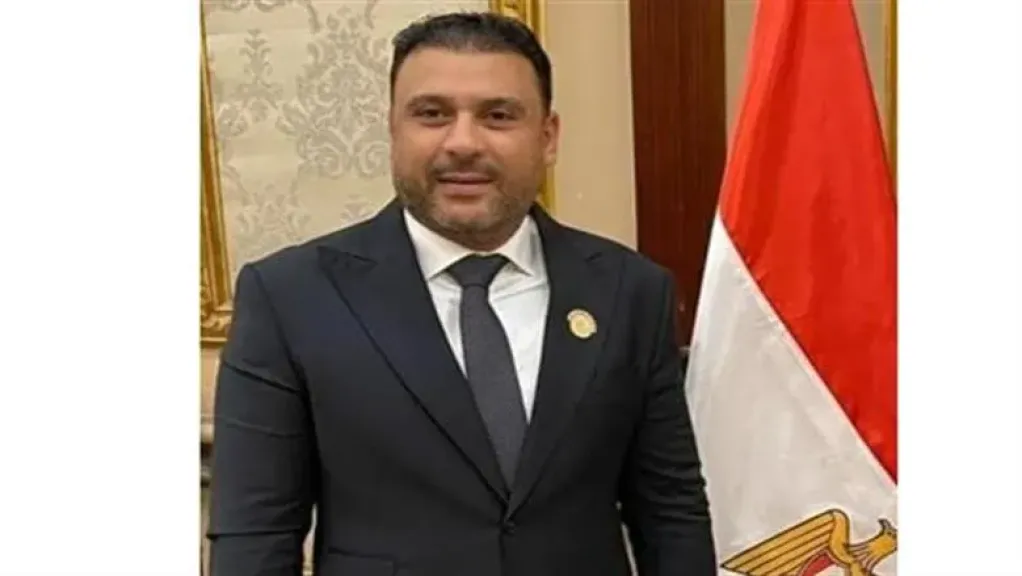 النائب عمر الغنيمي عضو لجنة الصناعة بمجلس الشيوخ