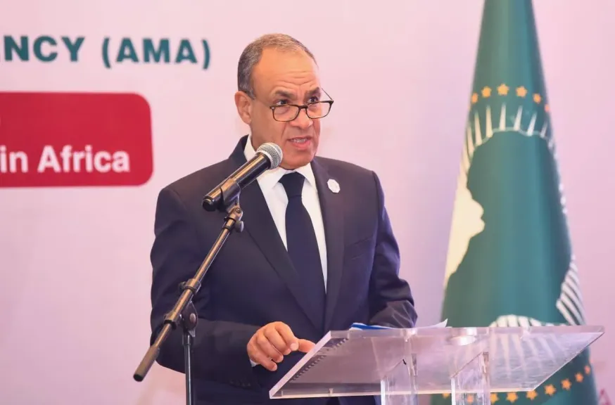  د. بدر عبد العاطي، وزير الخارجية والتعاون الدولي